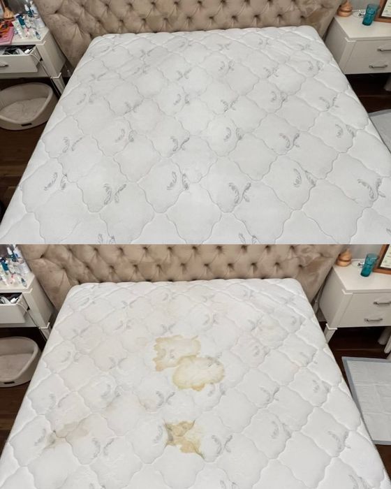 Химчистка мягкой мебели