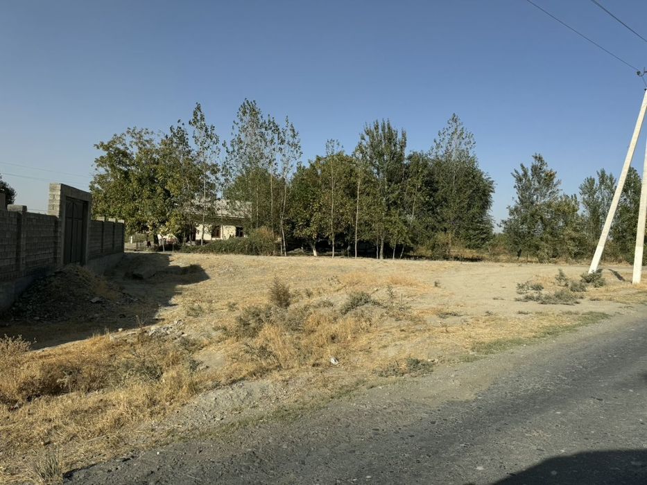 Jomboy Zarafshon mfy 3 sotq man zavod orqa tara