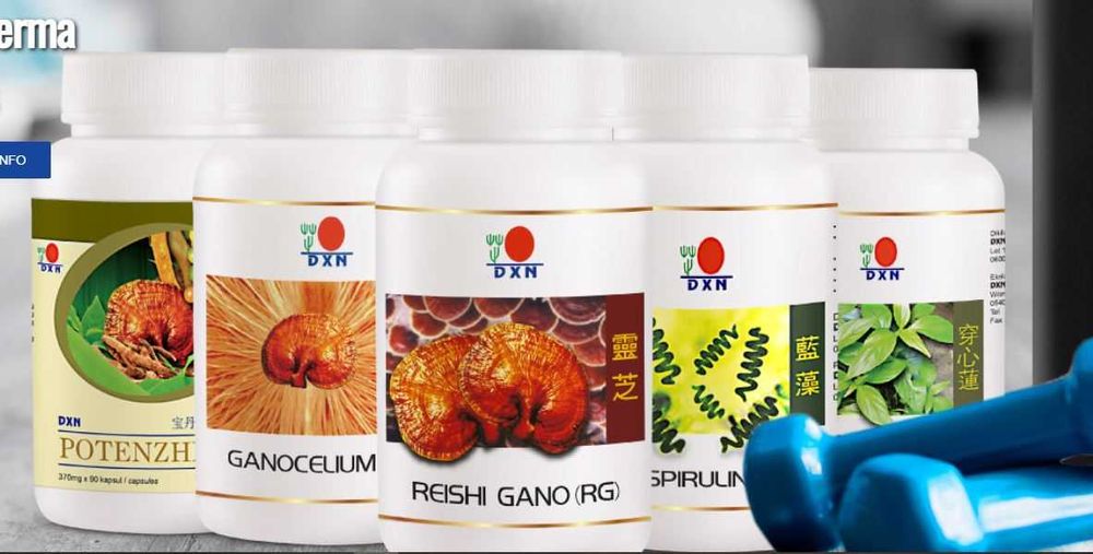 Запишете към успешна мрежа. Назначете сам себе си за шеф на живота си!