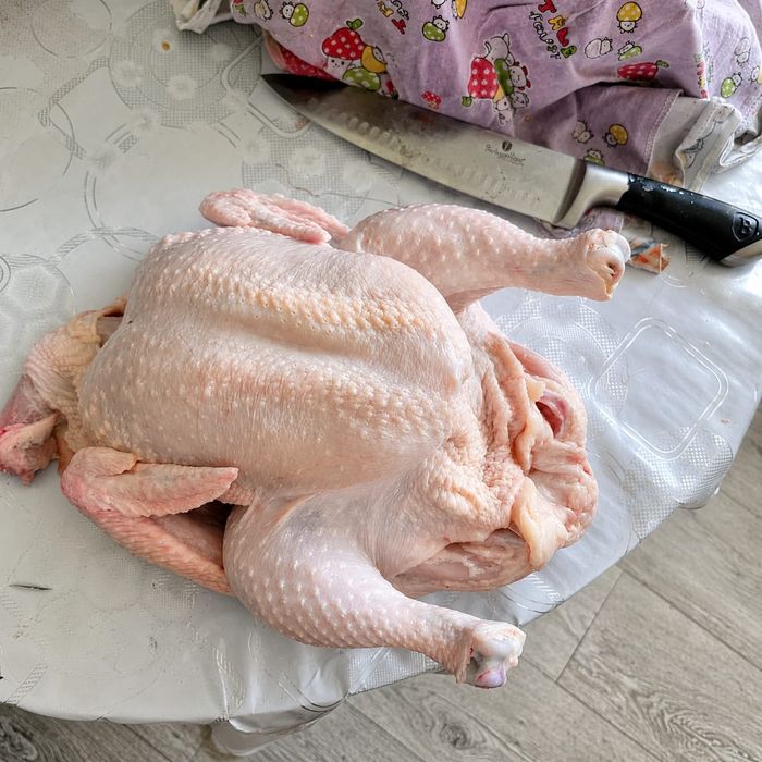 Продам мясо броллера