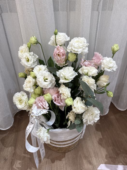 срочно продам цветы.   .