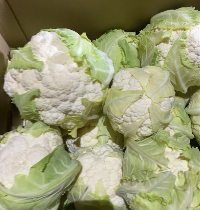 Продаём Цветную  капусту