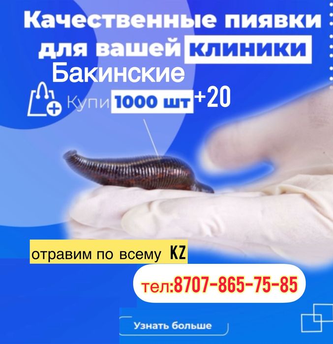 пиявки свежие поступление