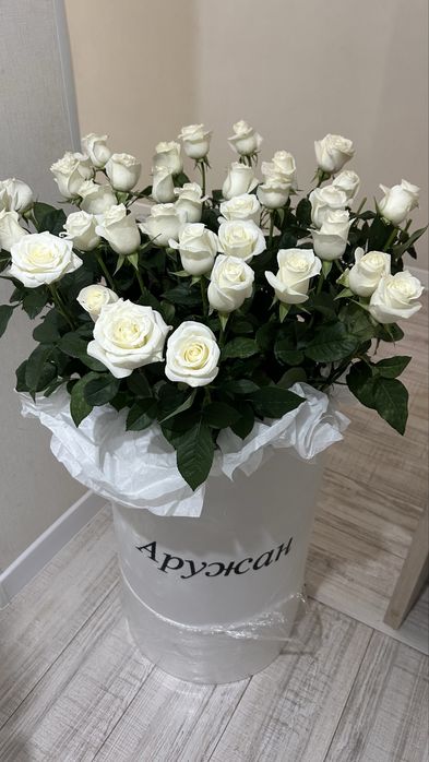 Белые розы гигант