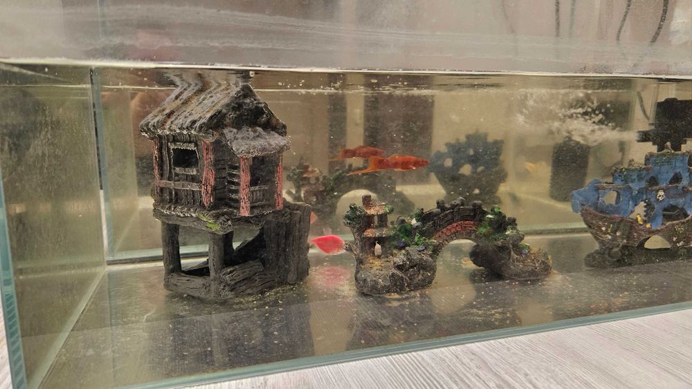 Аквариум, рыбки, фильтр для Аквариума