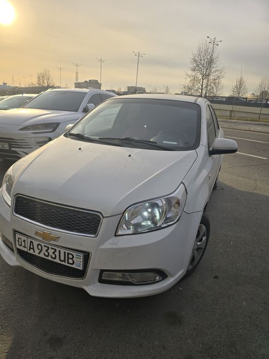 Nexia 3. kunlik arenda suxoy