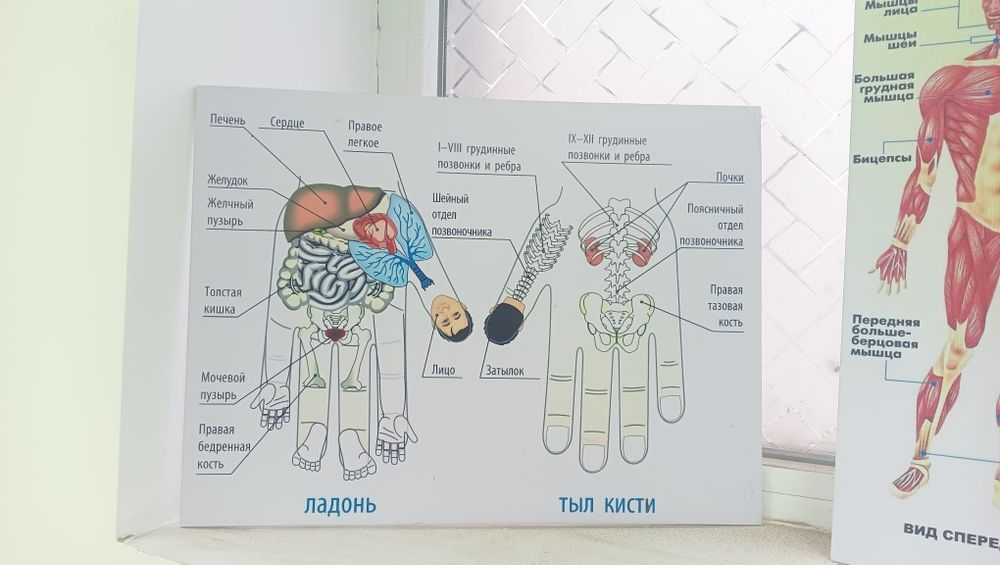 Продам постеры картины