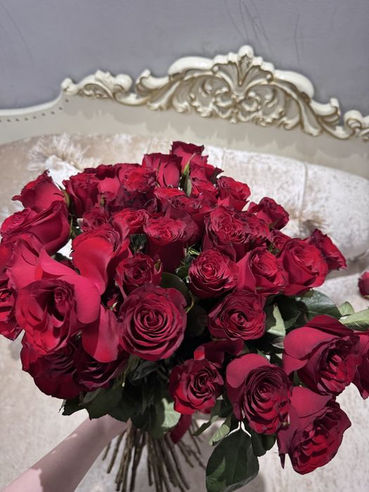 Красные розы41шт