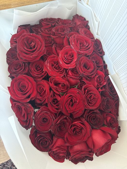 Продам свежие красные розы