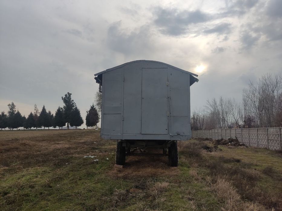 Asal ari prisepti sotiladi