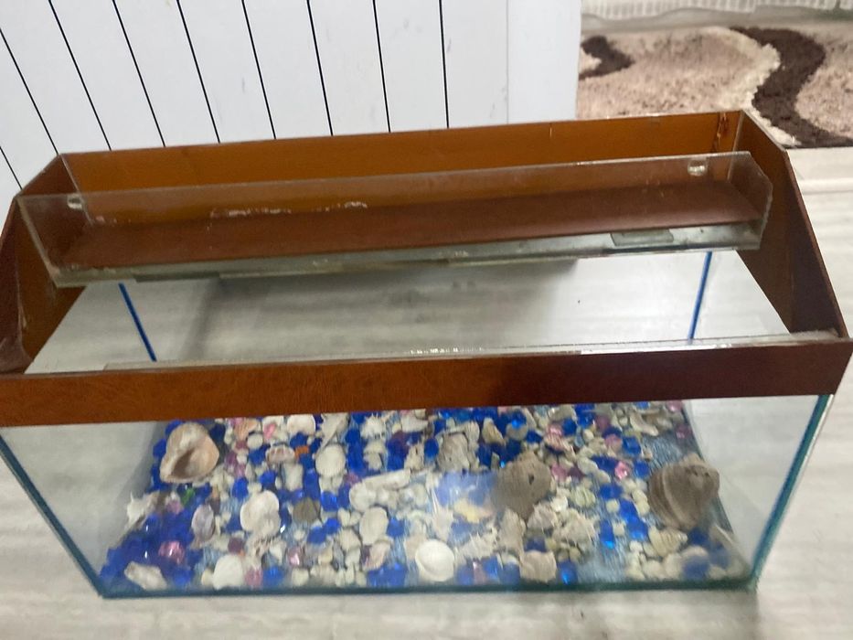 Acvariu pentru pești