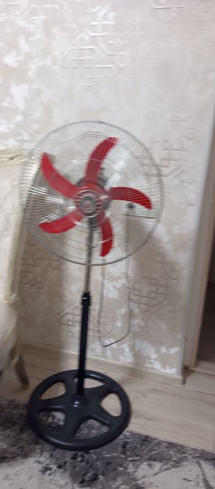 Ventilyator Xitoy
