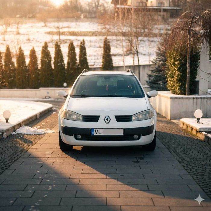 Renault Megane 2 1.5Dci-101Cai-Piele-Navigatie