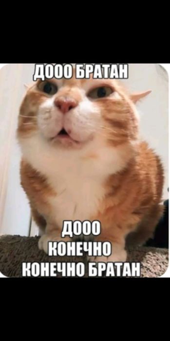 Айфон 14 про Каскелен-Алматы