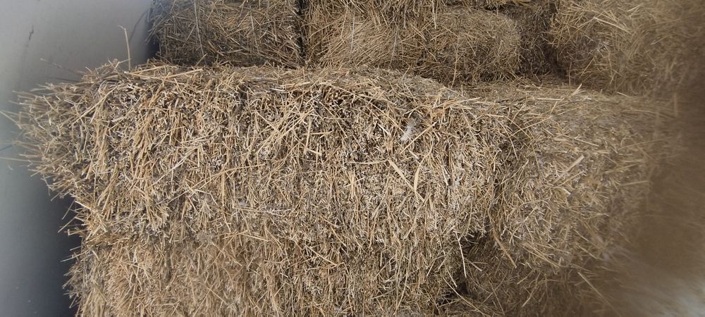 Түктелген жоңышқа/люцерна сатылады