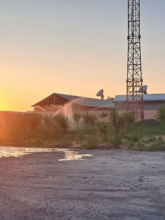 Спринклер ( sprinkler ) | fantan | optom