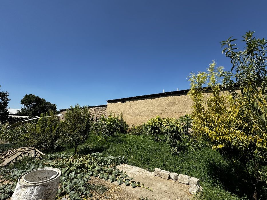 Hovli sotiladi 10 sotixdan kattaroq