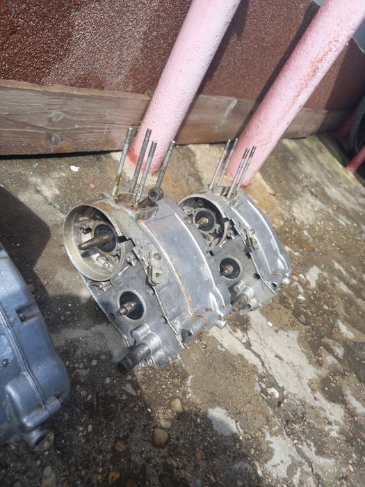 Motoare mobra hoinar