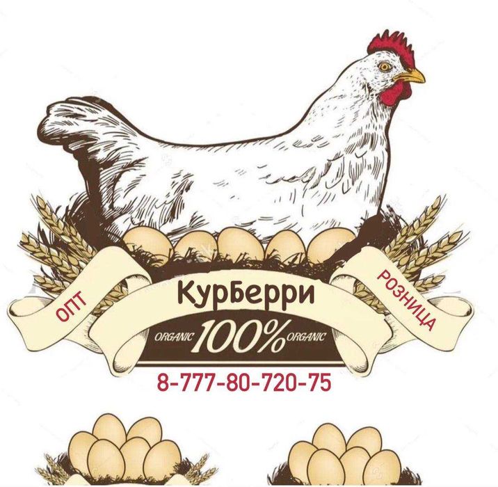 Куры несушки Белые