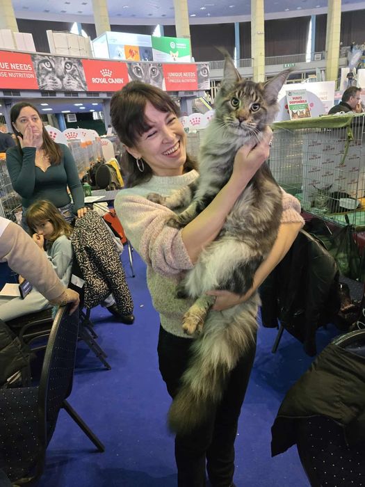 Pet sitter Bucuresti