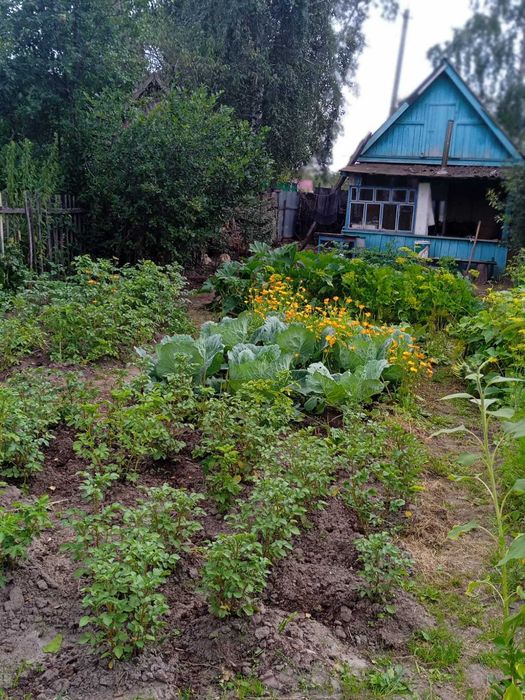 Продам дачу за Новопавловкой