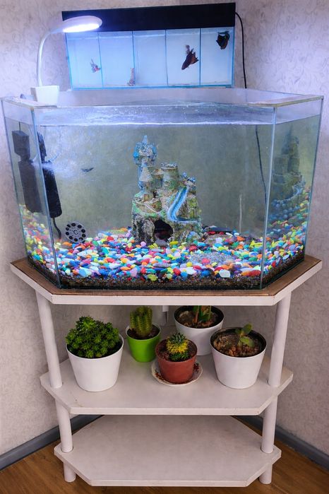 100 litrlik akvarium sotiladi (podstavkasi bilan)