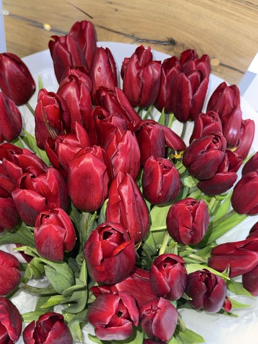 Тюльпан 51 шт новый