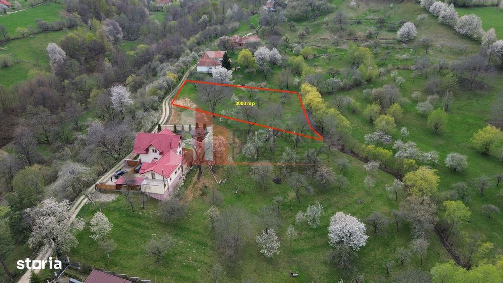 Teren Premium În Bran – Sohodol | 3000 Mp Cu Panoramă Excepțională