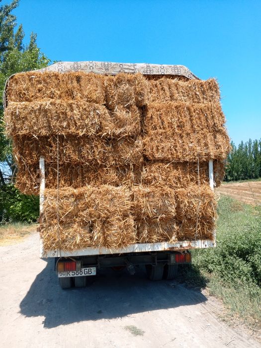 Isuzu samasval otayol samasval