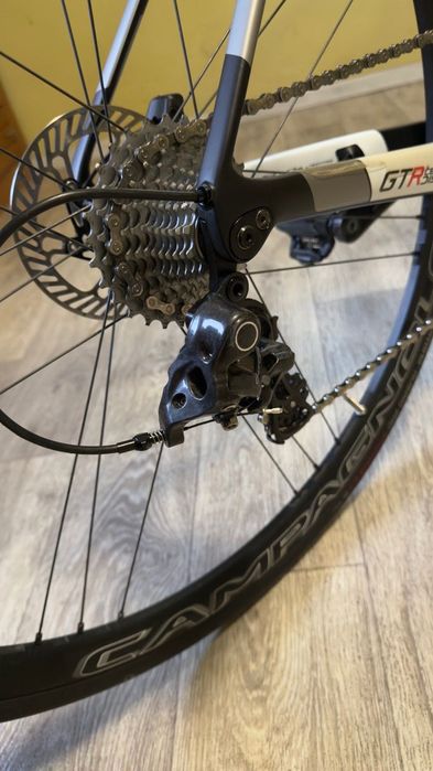 Wilier GTR team disk M Campagnolo 12