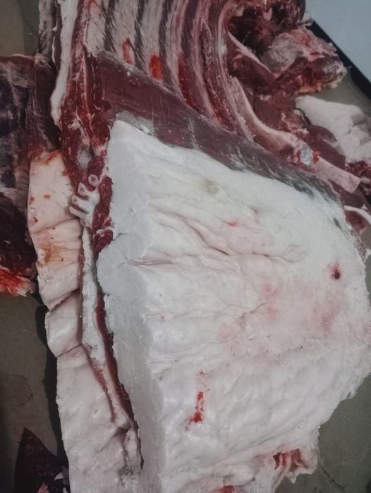 Конина. Ет. Мясо.