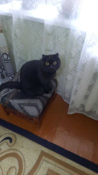 Продается 2-х комнатная квартира!!!