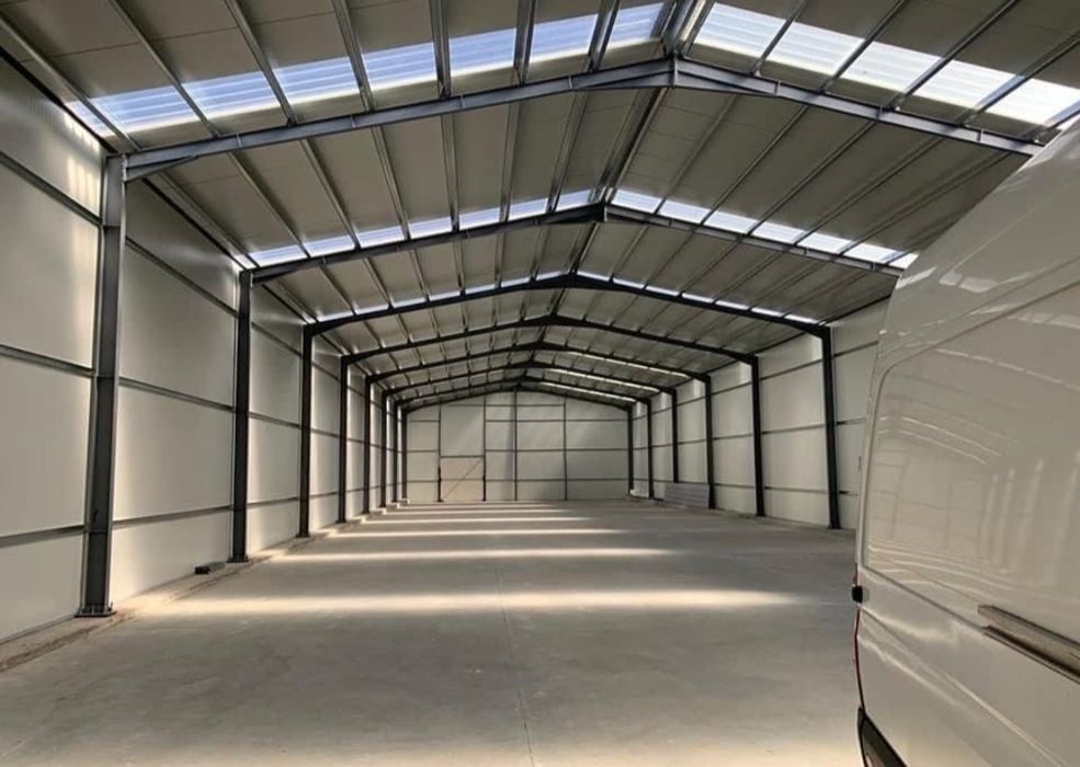 Hale și structuri metalice