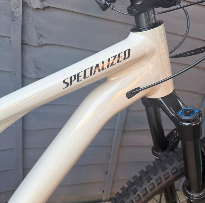 Specialized Stumpjumper 15 Alloy 2025 Size  L