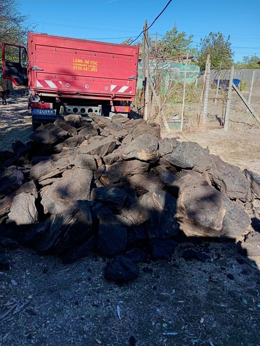 Cărbune lignit  calitate extra