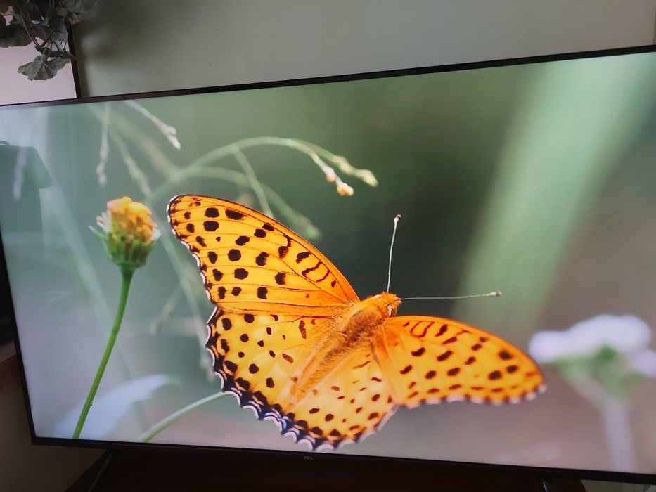 Tcl 43qled780k 4k qled ultra HD 43 inch Google tv