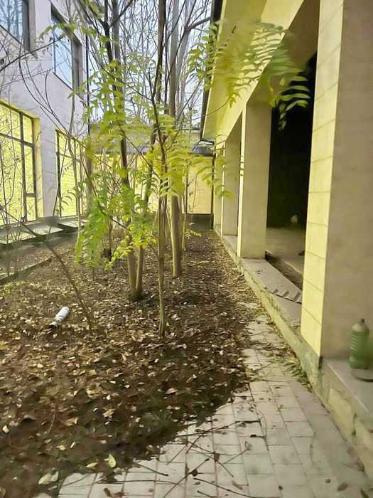 ОФИС, отдельно стоящее здание на 1200 м2 ПАркентский базар