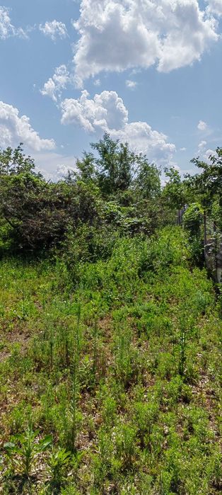 продам дачный участок