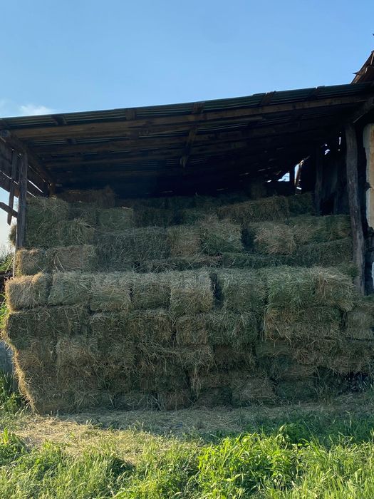 Baloti Lucerna coasa 2 + 3