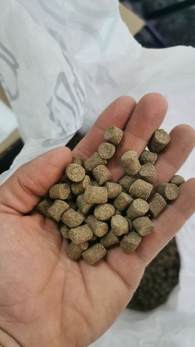 Hrana plutitoare de 2,5 - 4-6 sau 9 mm iazuri