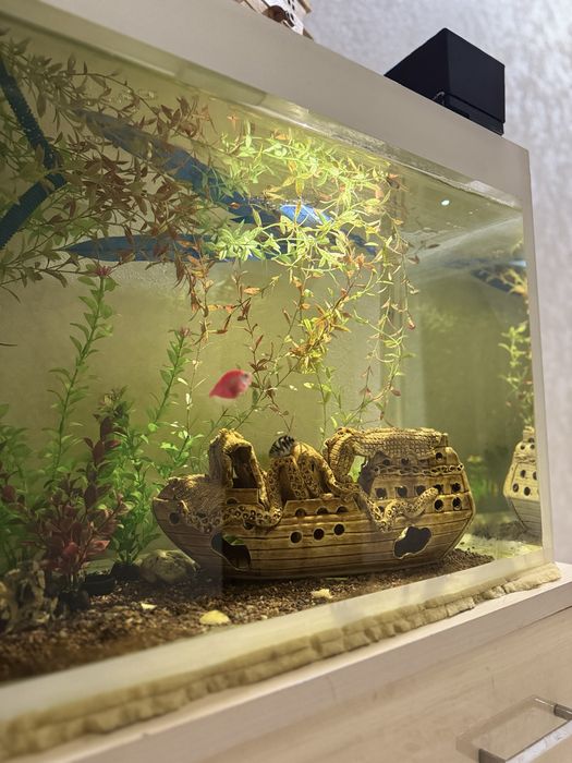 Аквариум 150 литров