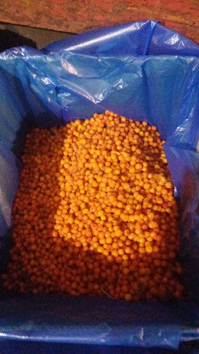 Ягоды -малина клюква облепиха клубника  черника смородина.