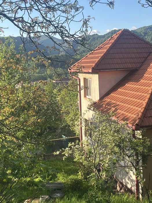 Vand doua case Petrila sau schimb