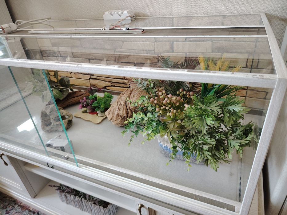 Сухой аквариум для животных Террариум