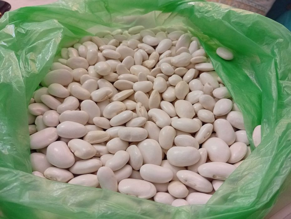 Градински шарен боб