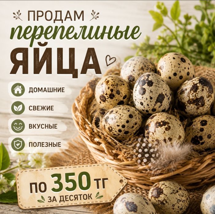 Домашние перепелиные яйца