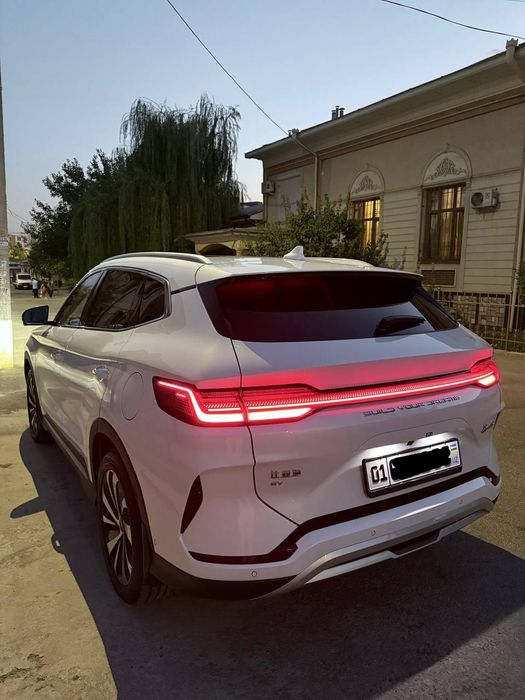 Byd chempion Honor