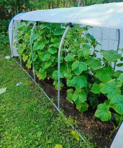 Парник 3 м — прочный, лёгкий, со спанбондом в комплекте