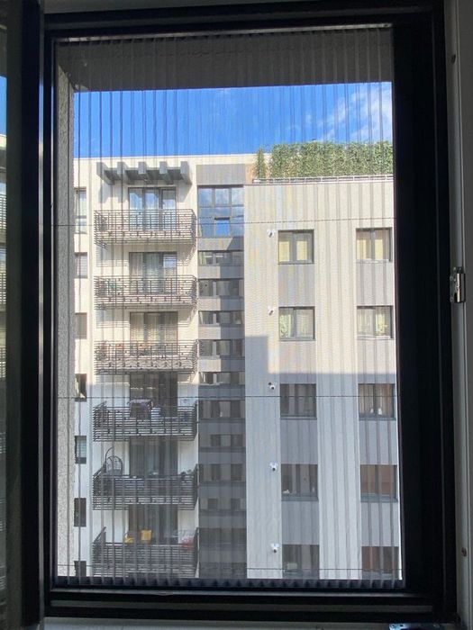 Plase insecte plisse Constanța