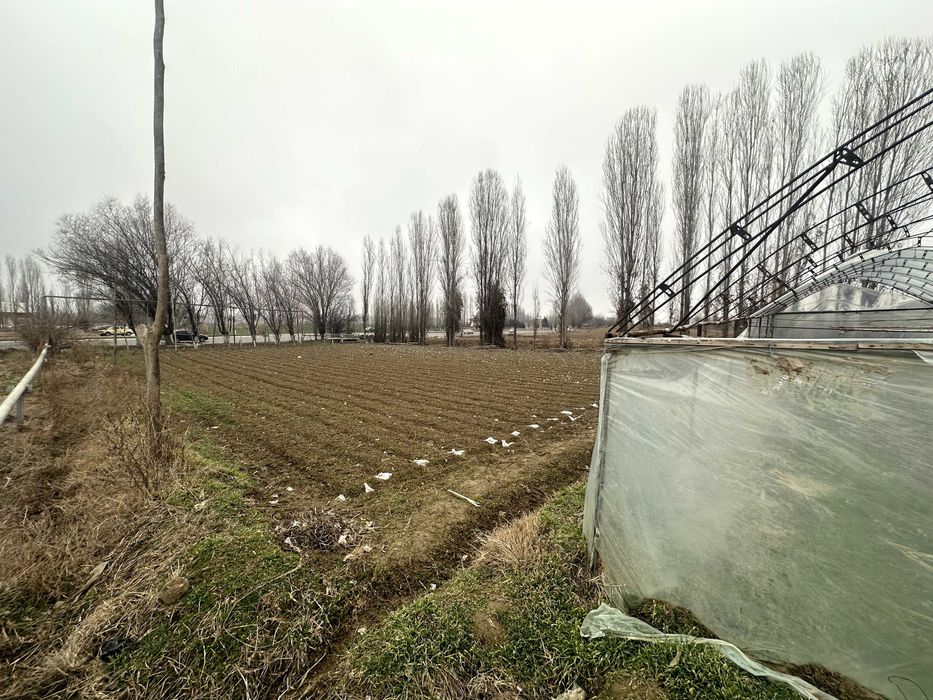 Yangiyo'l tumani M39 betonkani yoni 24 sotix